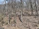 243 Dragon Trail - Photo 20