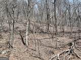 243 Dragon Trail - Photo 21