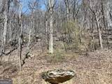 243 Dragon Trail - Photo 22