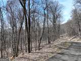 243 Dragon Trail - Photo 3