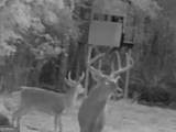 3312 Hunts Chapel Road - Photo 111