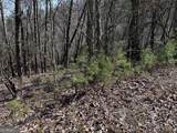 200 Stone Cliff Drive - Photo 16