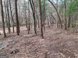 LOT 45B Synacia Drive - Photo 24