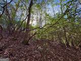 #9 #5 Bethany Road - Photo 8