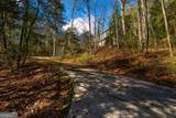 9 Blackbear Mountain Trail - Photo 87