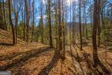 9 Blackbear Mountain Trail - Photo 90