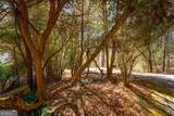 9 Blackbear Mountain Trail - Photo 99
