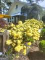 647 Grand Street - Photo 39