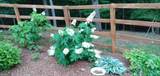 57 Cherry Court - Photo 47
