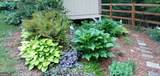 57 Cherry Court - Photo 48