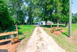 218 Turpentine Drive - Photo 3