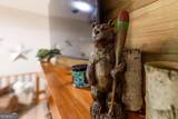 49 Baum Weg - Photo 23
