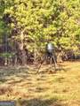 4843 Greer Road - Photo 18