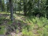 LOT 314 Pebble Trace - Photo 4