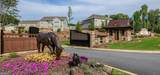 2850 Canter Meadow Drive - Photo 40