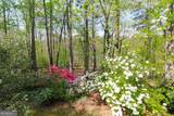 1015 Wahoo Hill - Photo 62