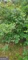 384 Enon Grove Road - Photo 100