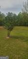 384 Enon Grove Road - Photo 86