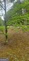 384 Enon Grove Road - Photo 98