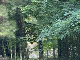 3000 Cathedral Place - Photo 40