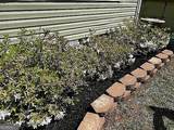 35 Hillandale Street - Photo 33
