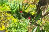 120 Shilling Way - Photo 69