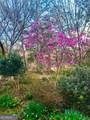 120 Shilling Way - Photo 84