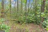 0 Fern Cove Road - Photo 30
