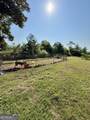 3856 Ga Highway 231 - Photo 9