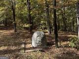 99 ACRE Flint River Road - Photo 5