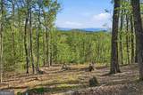 194 Quiet Woods Trail - Photo 45