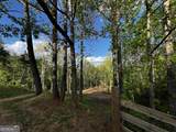 221 Muscadine Road - Photo 50