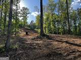 221 Muscadine Road - Photo 54