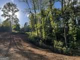 221 Muscadine Road - Photo 56