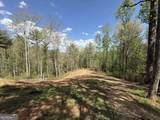 221 Muscadine Road - Photo 59