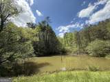 221 Muscadine Road - Photo 60
