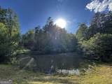 221 Muscadine Road - Photo 61