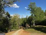 221 Muscadine Road - Photo 62