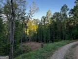 221 Muscadine Road - Photo 65