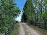 221 Muscadine Road - Photo 69