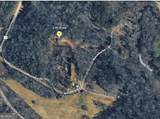 221 Muscadine Road - Photo 70