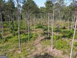 4625 Storey Mill Road - Photo 8