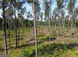 4625 Storey Mill Road - Photo 9