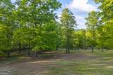 920 Yeoman Lake Road - Photo 10