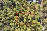 105 Green Buoy Court - Photo 1