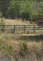 1044 Hutchings Mountain Road - Photo 58