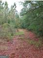 779 Ralph Davis Road - Photo 4