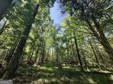 580 Saggus Road - Photo 1