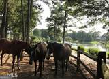 1371 Lipscomb Road - Photo 62