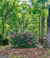 1371 Lipscomb Road - Photo 80